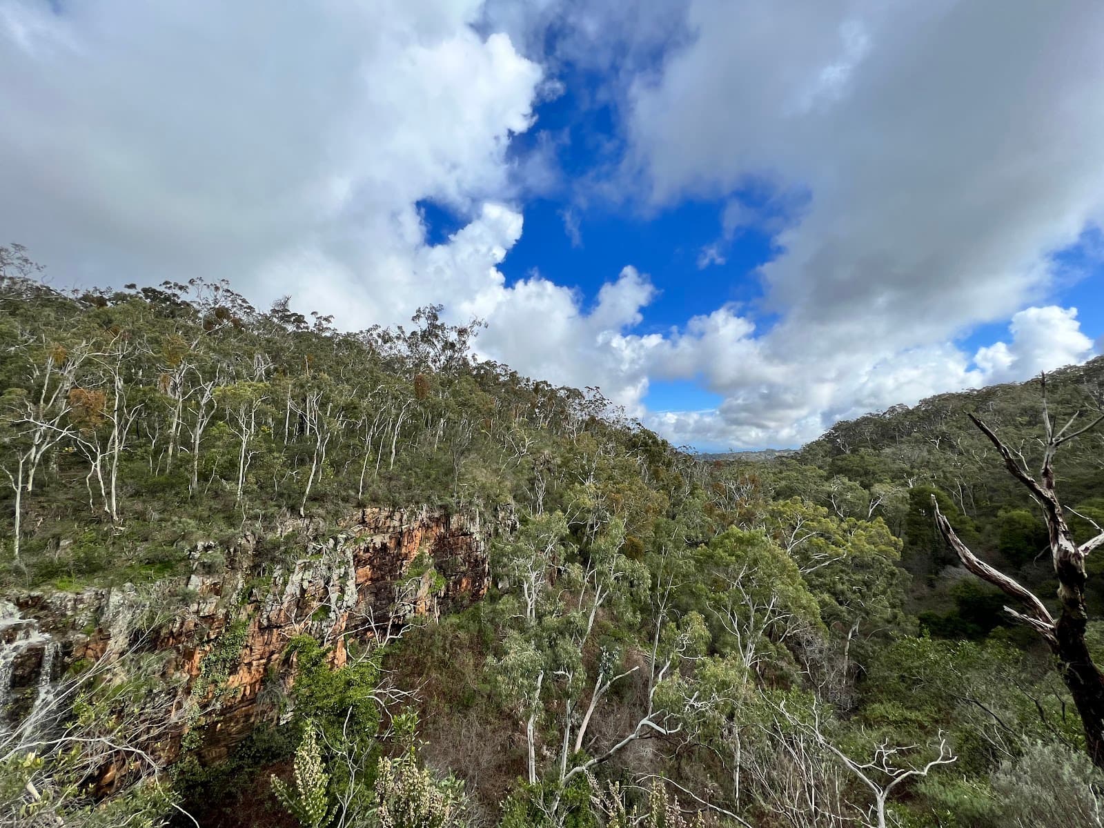Lower Waterfall Lookout — Mitcham, Adelaide