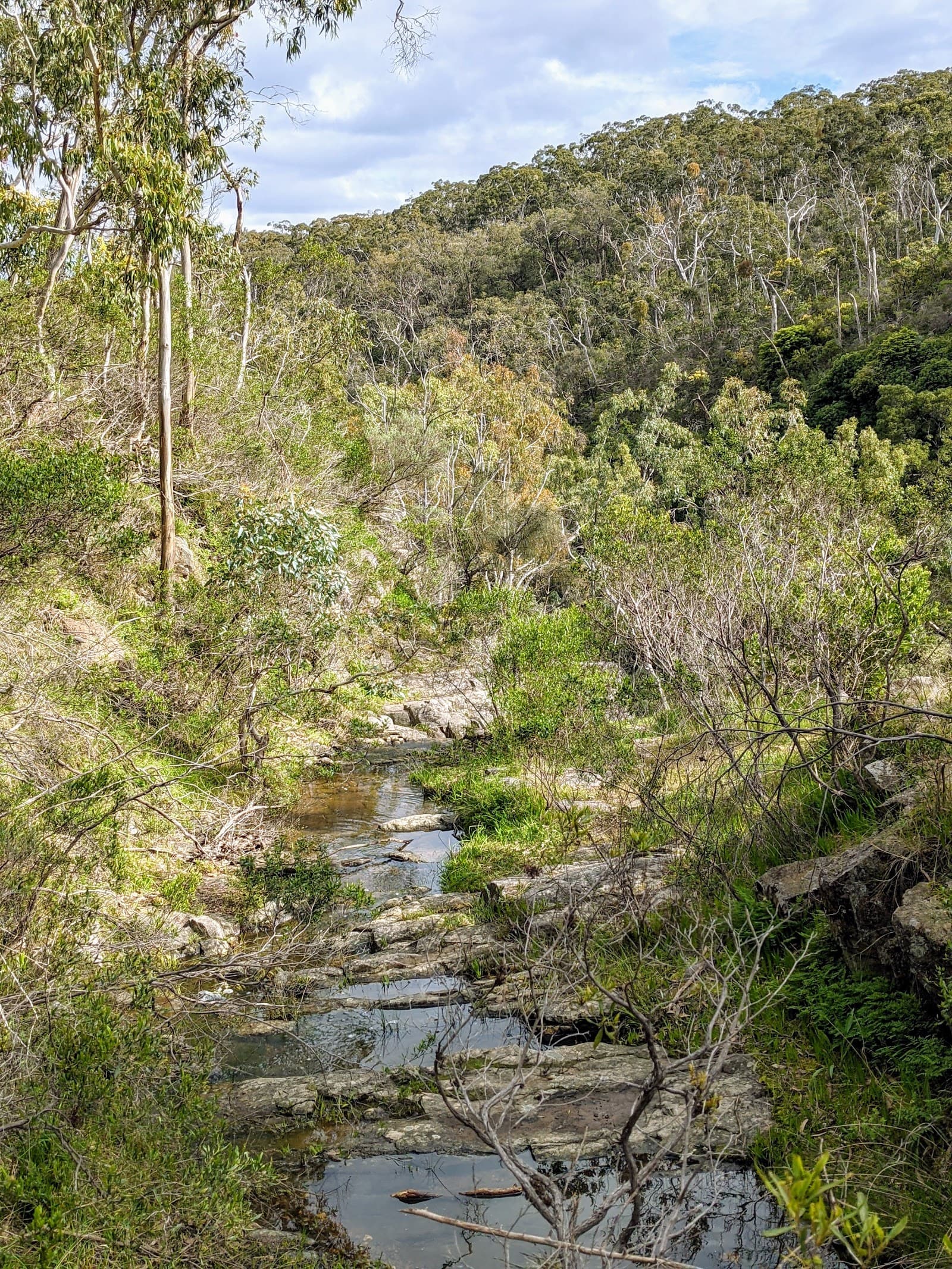 Lower Waterfall Lookout — Mitcham, Adelaide