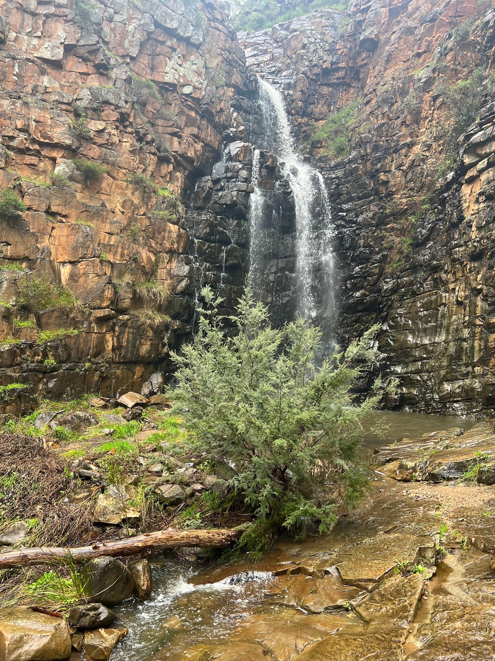 First Falls Lookout — Norwood, Adelaide