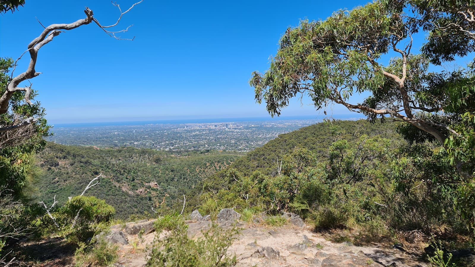 Woodforde Lookout — Norwood, Adelaide