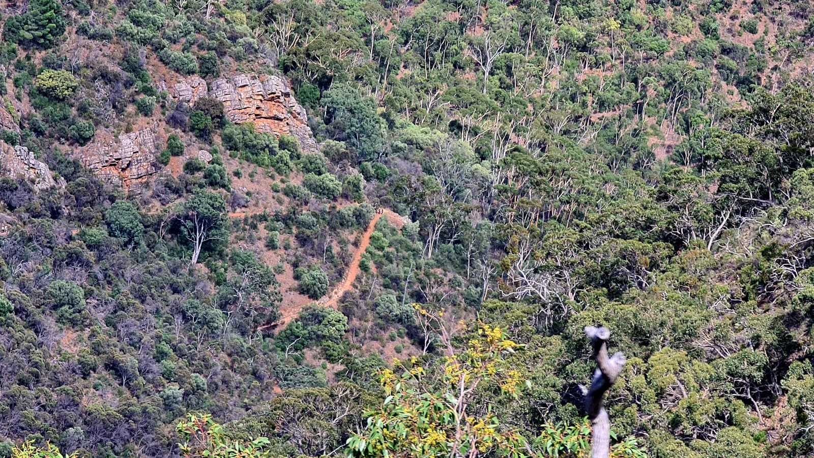 Woodforde Lookout — Norwood, Adelaide
