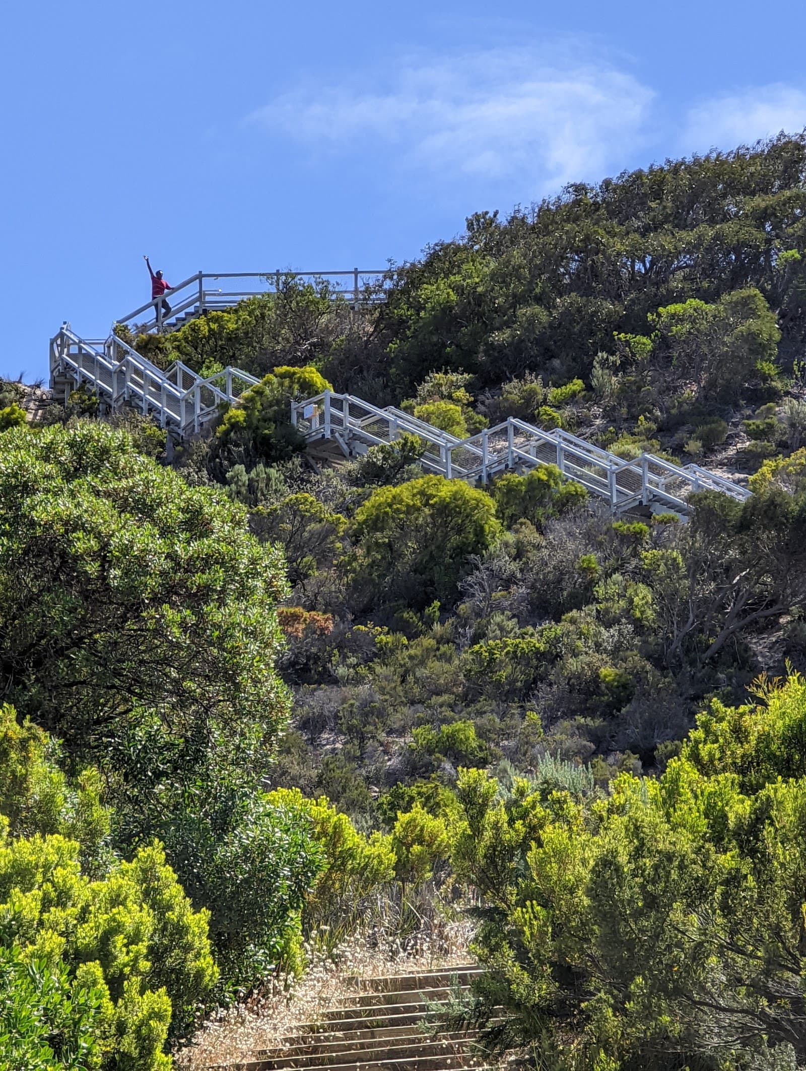 Prospect Hill — Haines, Adelaide