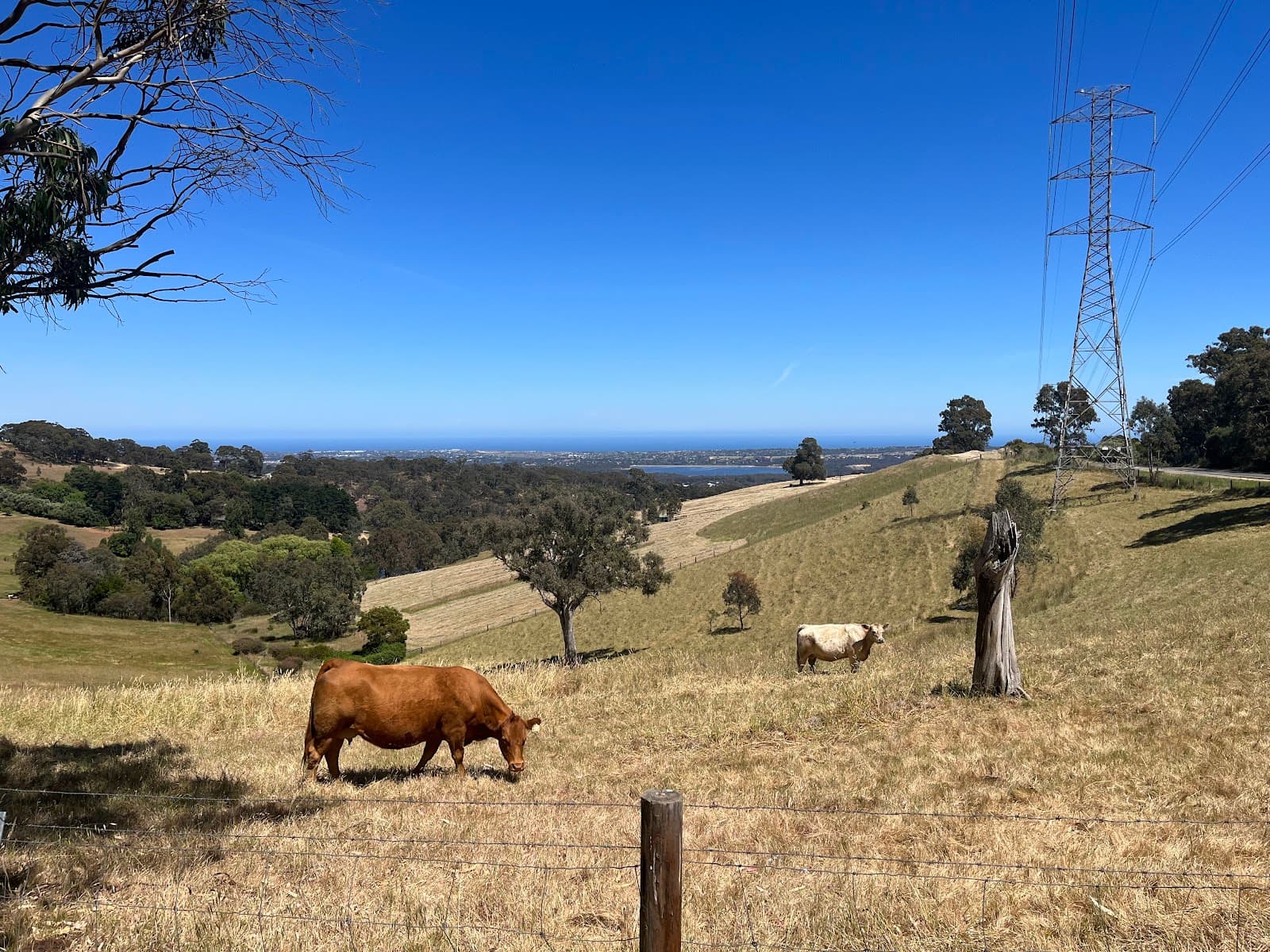 Oakridge Road Lookout — Mitcham, Adelaide