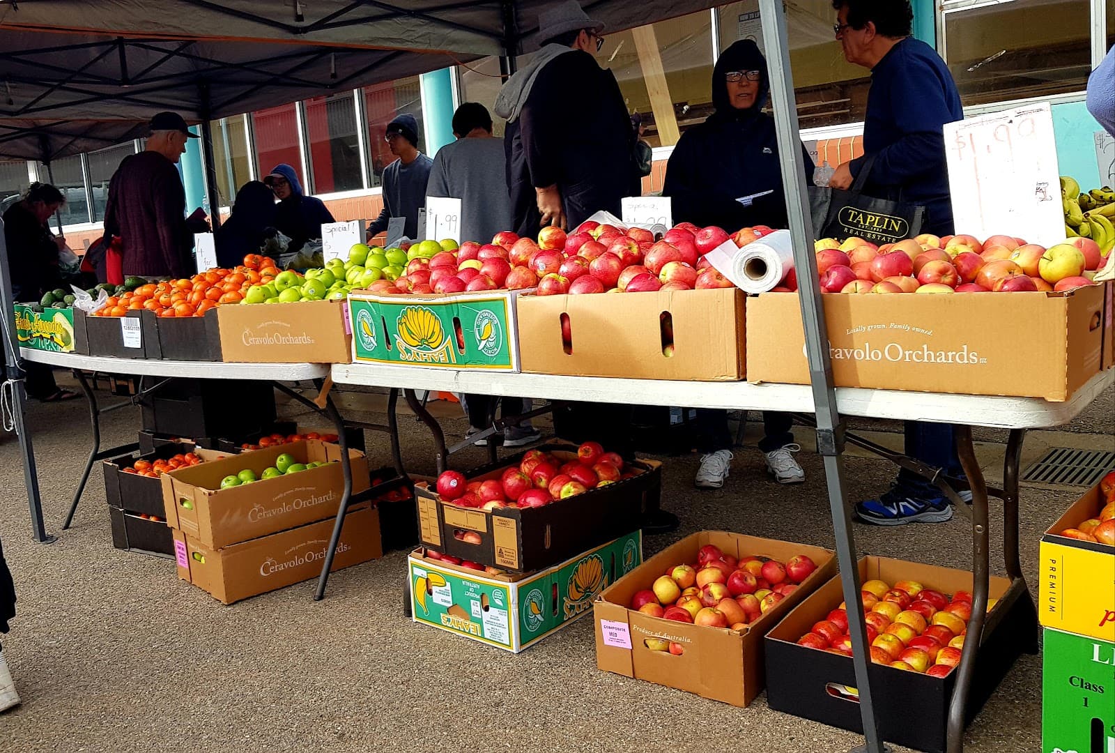 Brighton Sunday Market — North Brighton, Adelaide