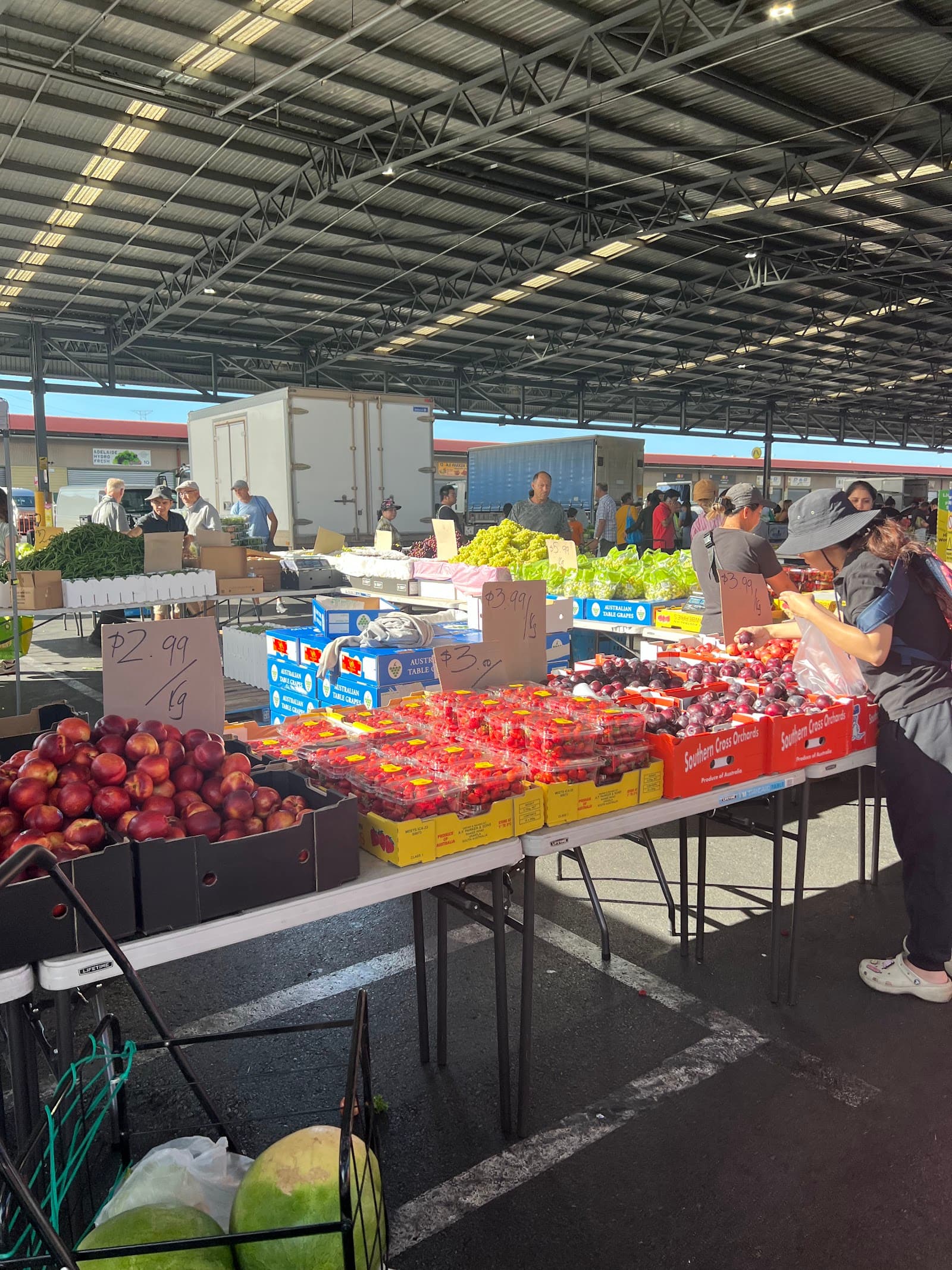 Pooraka Sunday markets — Hindmarsh, Adelaide