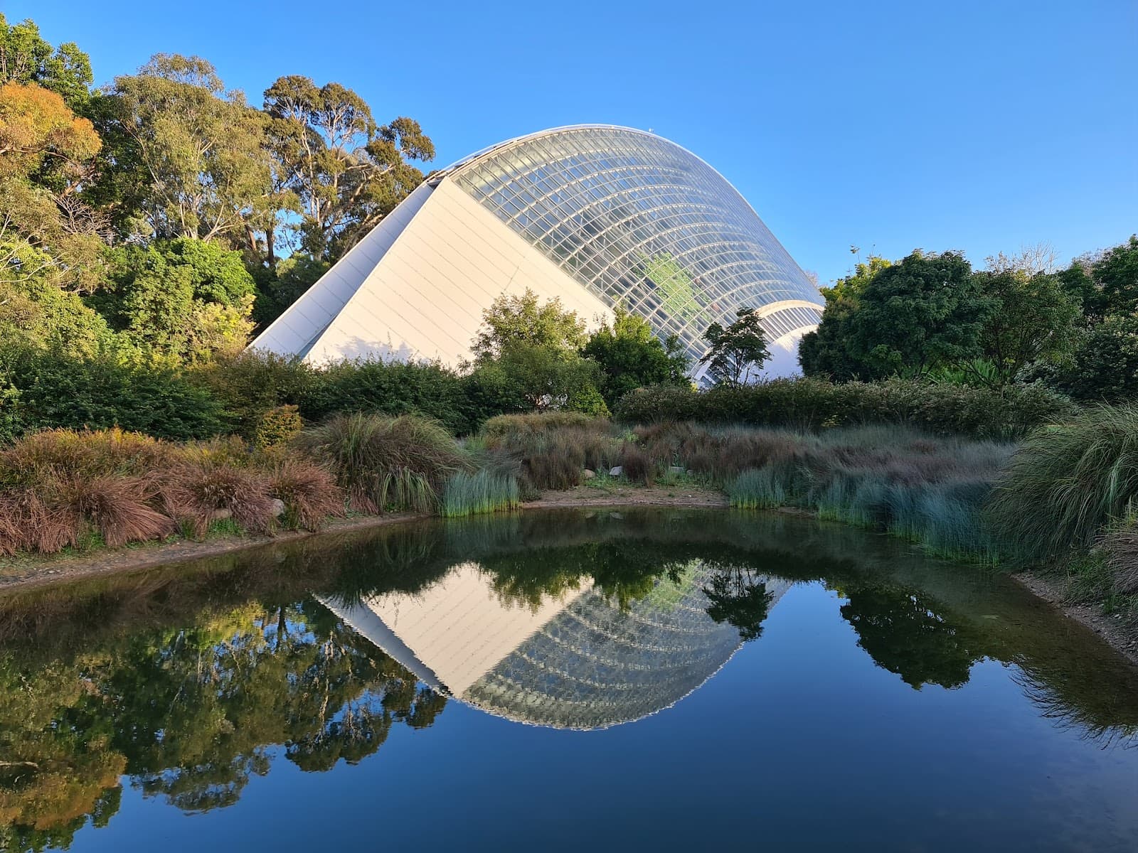 Bicentennial Conservatory — Hindmarsh, Adelaide