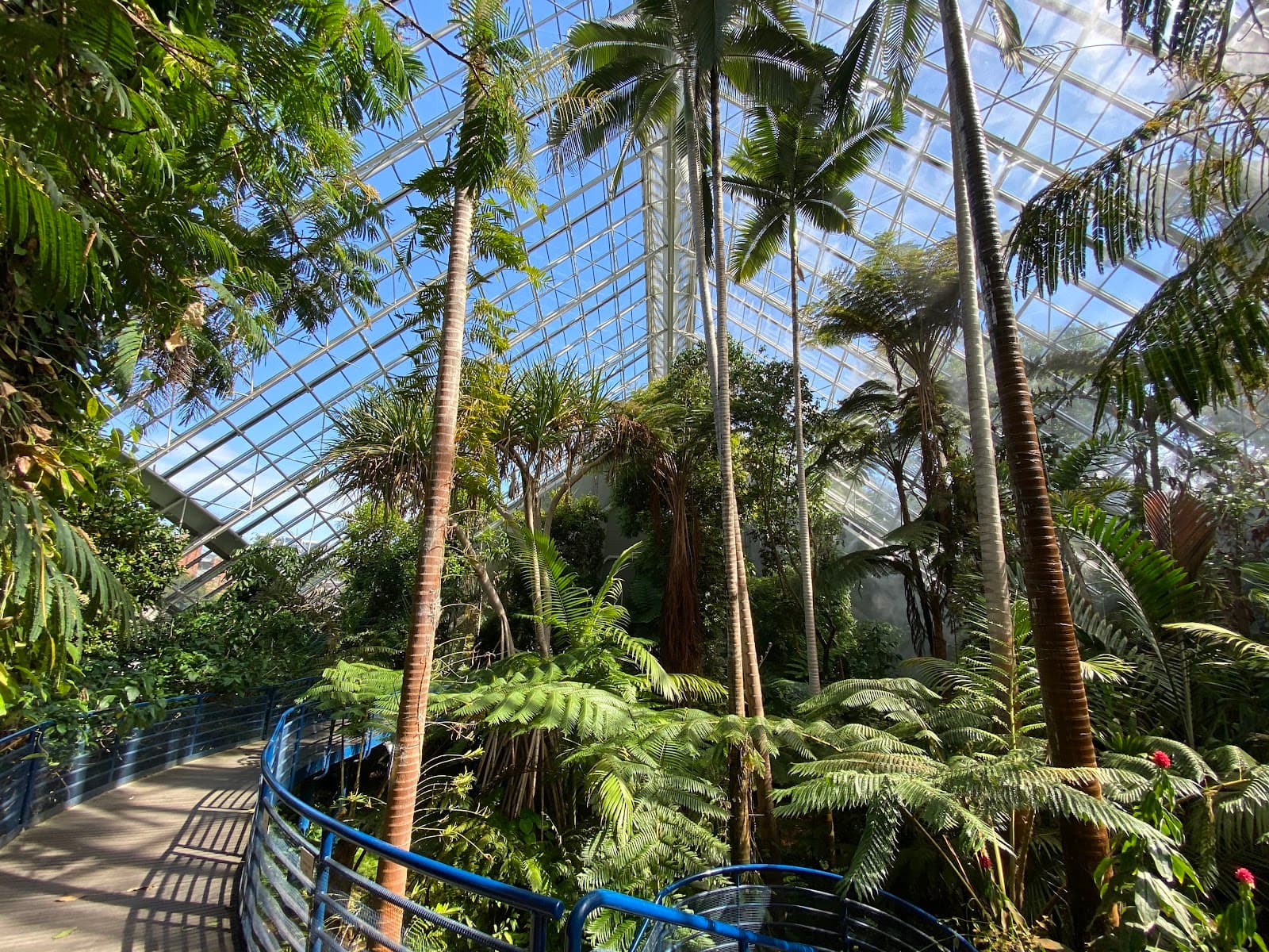 Bicentennial Conservatory — Hindmarsh, Adelaide