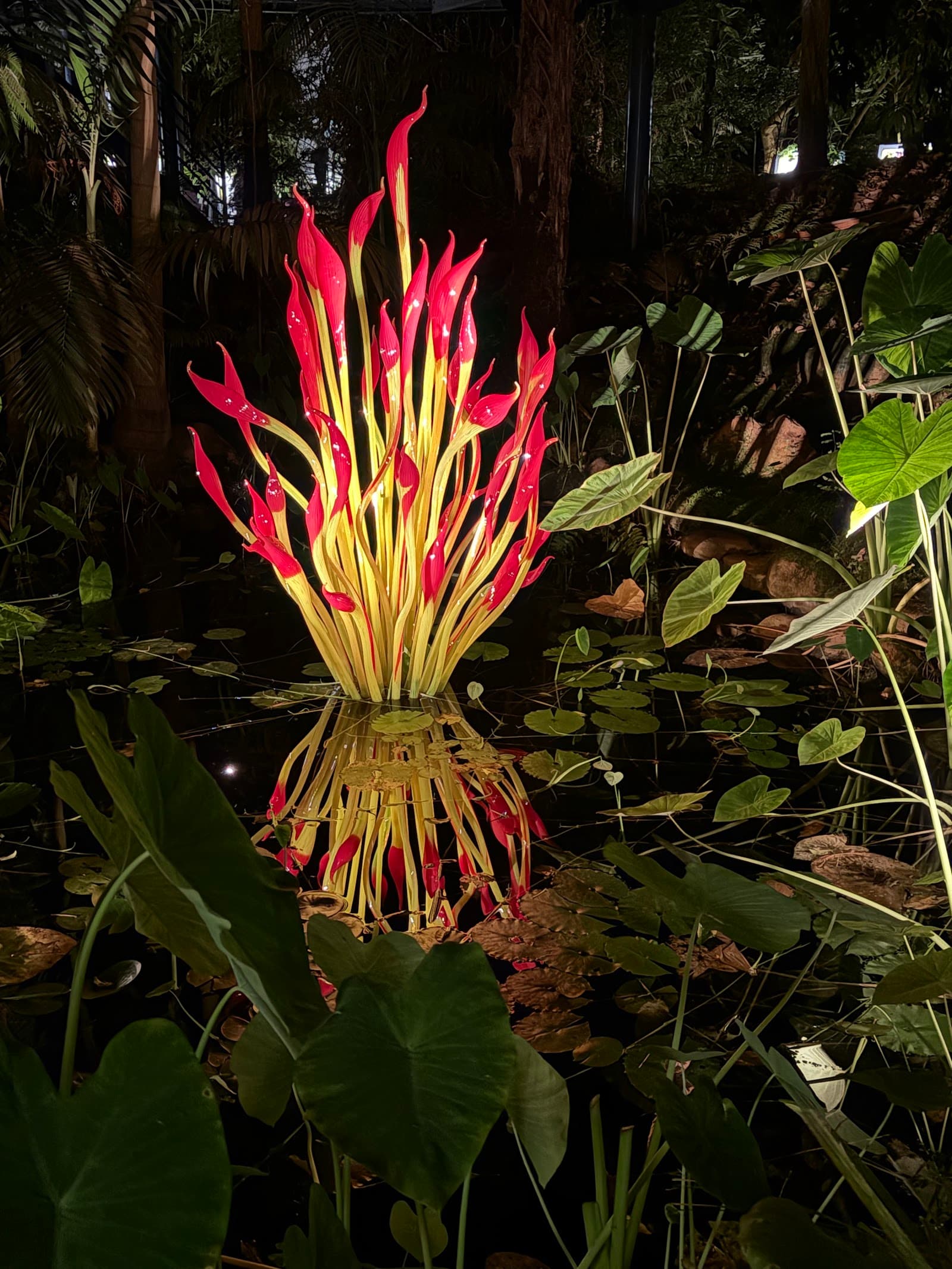 Bicentennial Conservatory — Hindmarsh, Adelaide