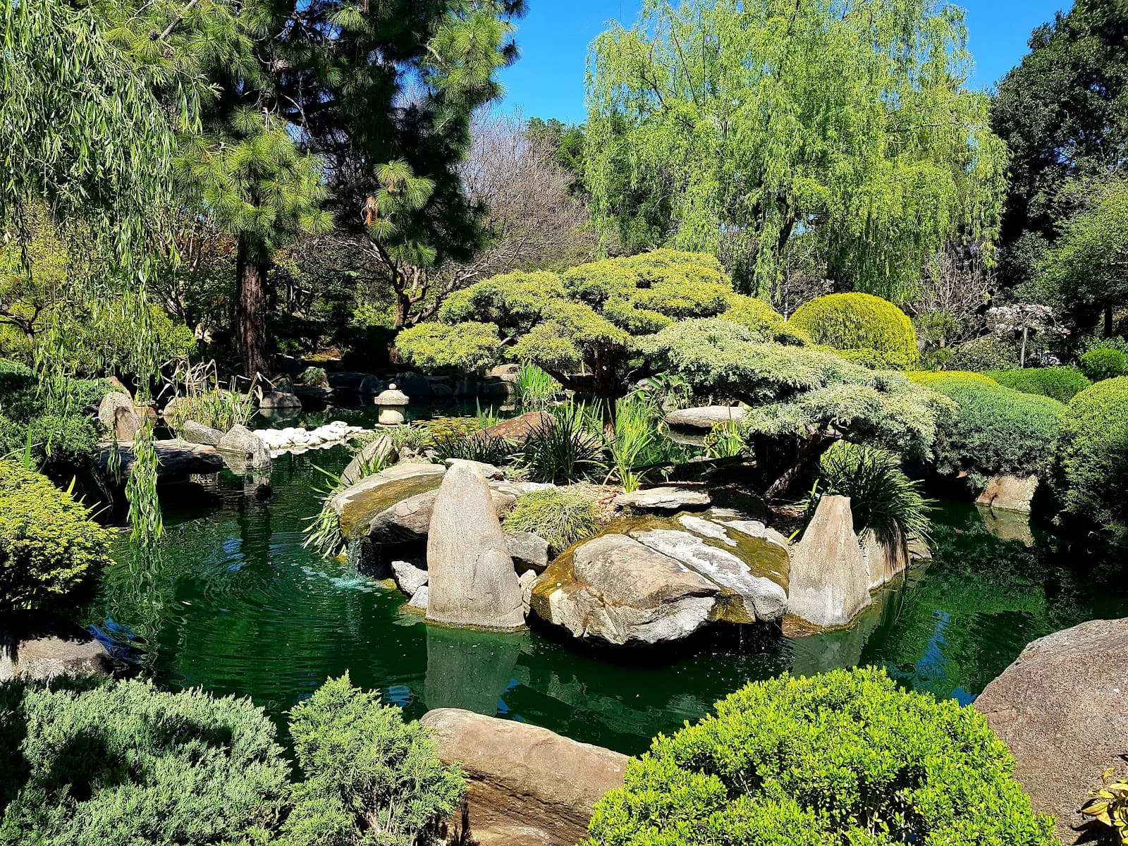 Adelaide Himeji Garden — Mitcham, Adelaide