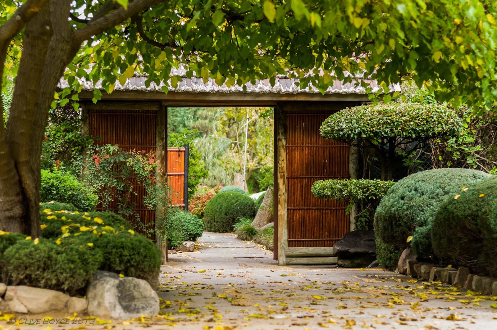 Adelaide Himeji Garden — Mitcham, Adelaide