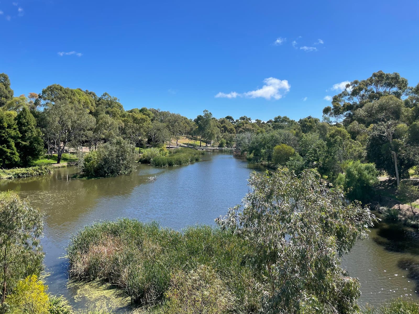 John E Brown Park (Park 27A) — North Adelaide, Adelaide