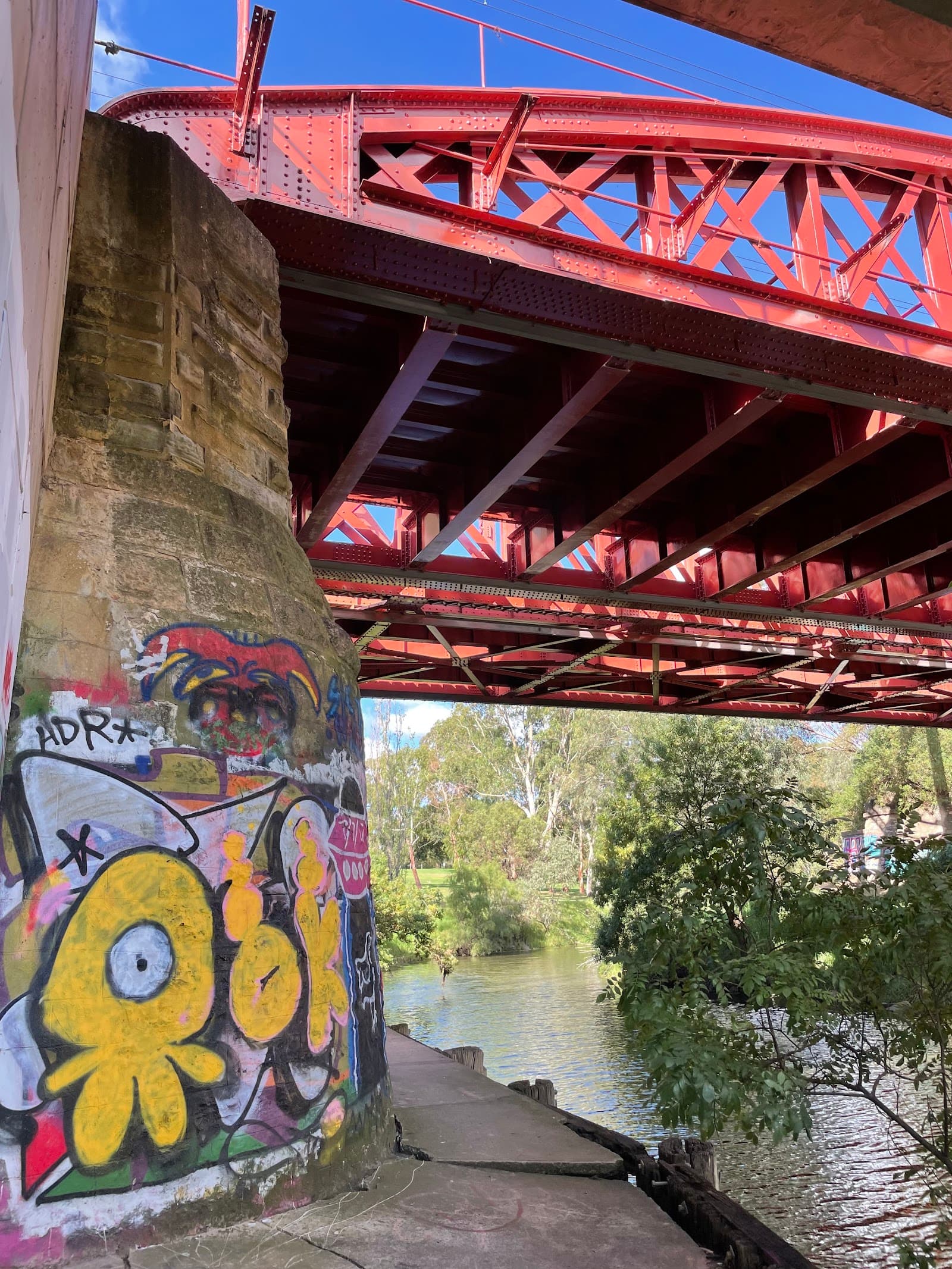 John E Brown Park (Park 27A) — North Adelaide, Adelaide