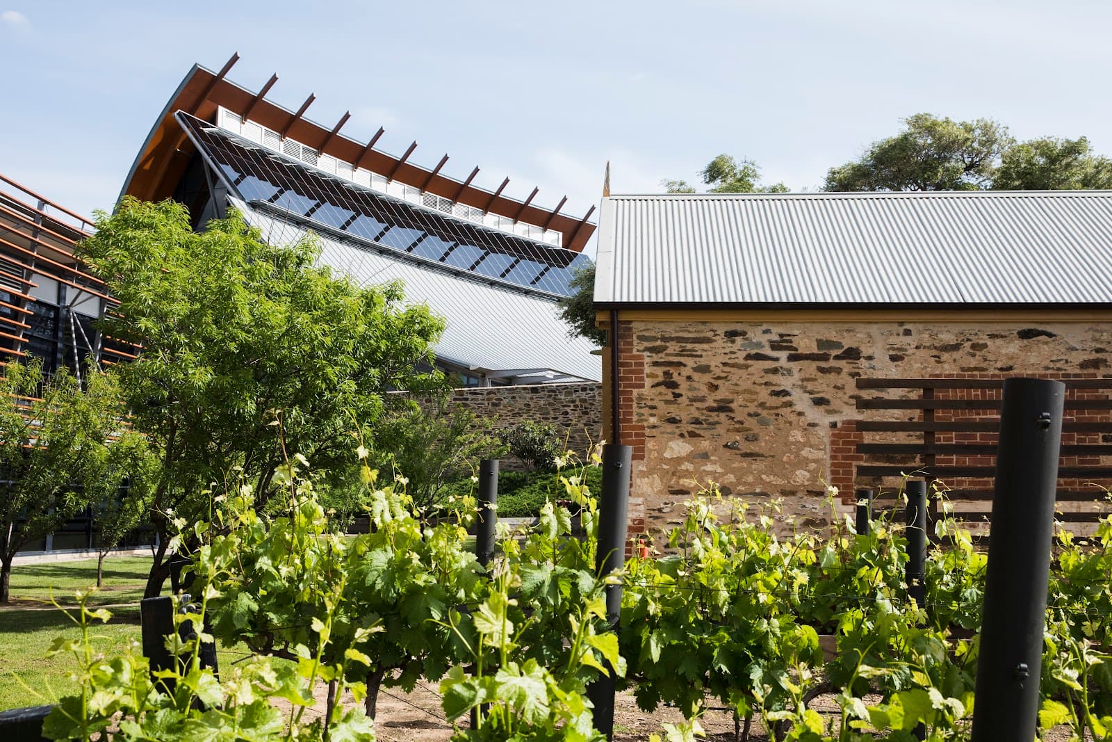 National Wine Centre — Mitcham, Adelaide