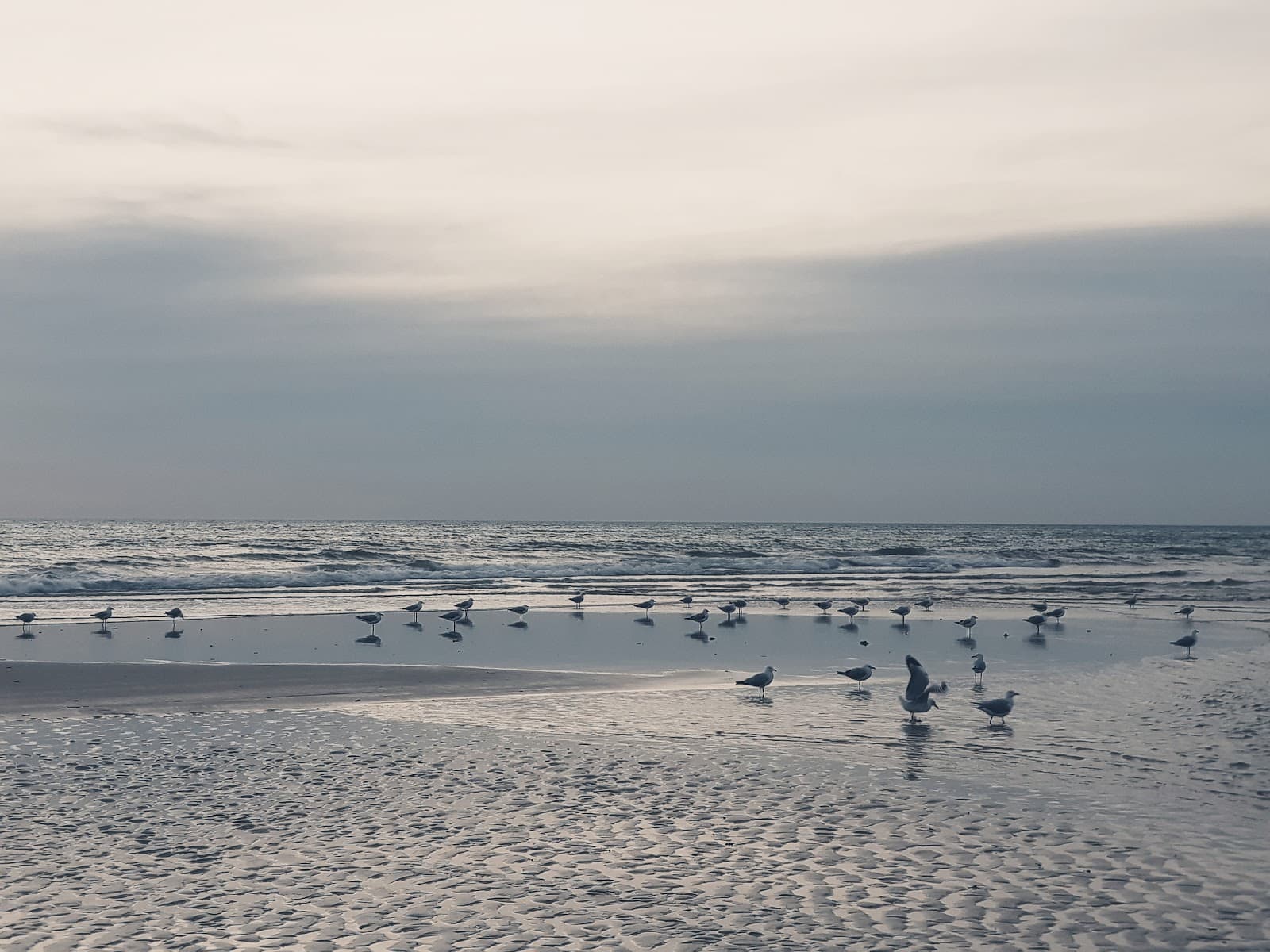 Ozone Reserve — Henley Beach, Adelaide