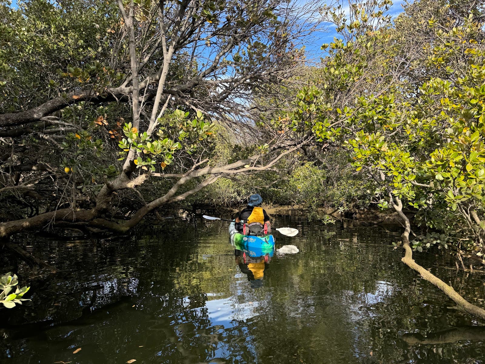 Adelaide Dolphin Sanctuary — Port Adelaide, Adelaide