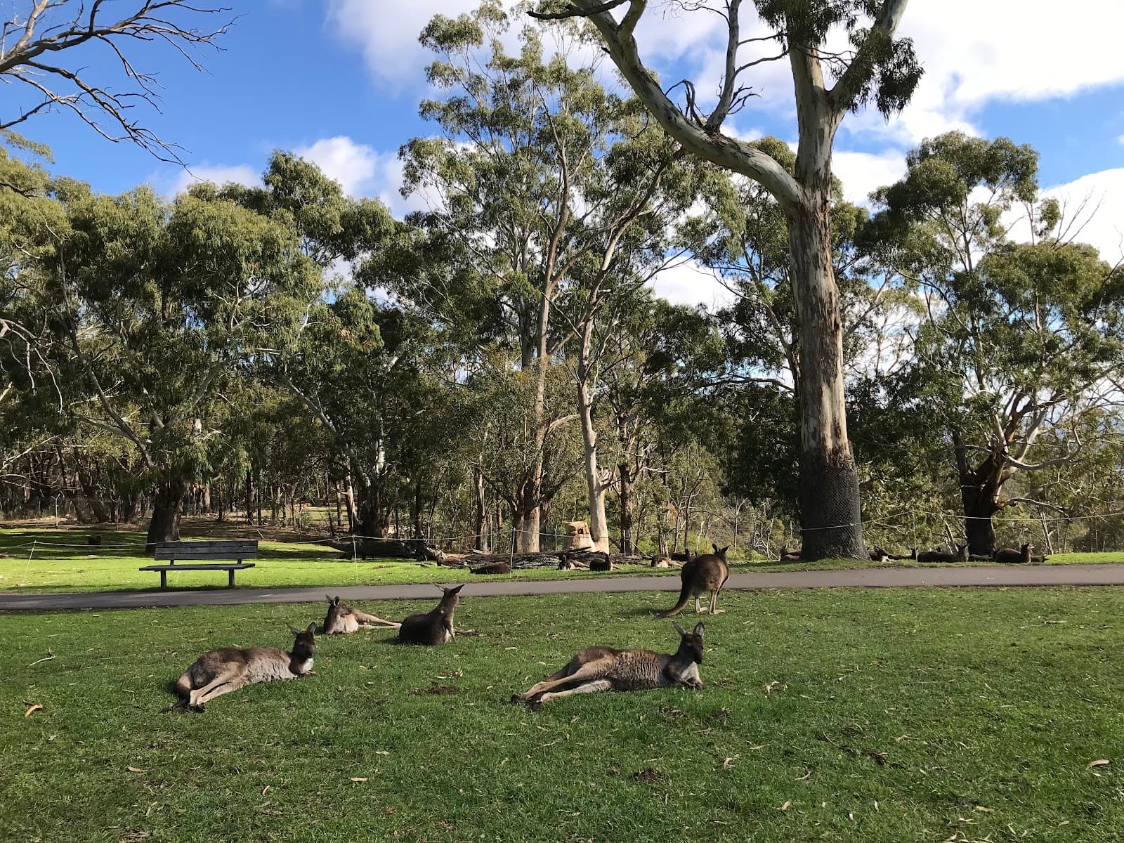 Cleland National Park — Burnside, Adelaide