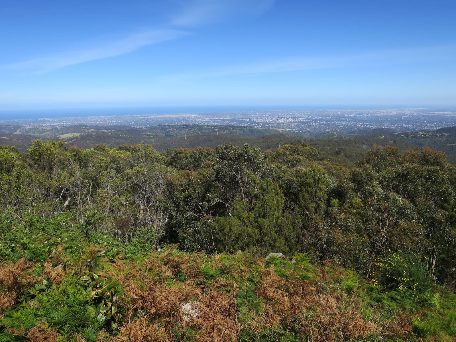Cleland National Park — Burnside, Adelaide