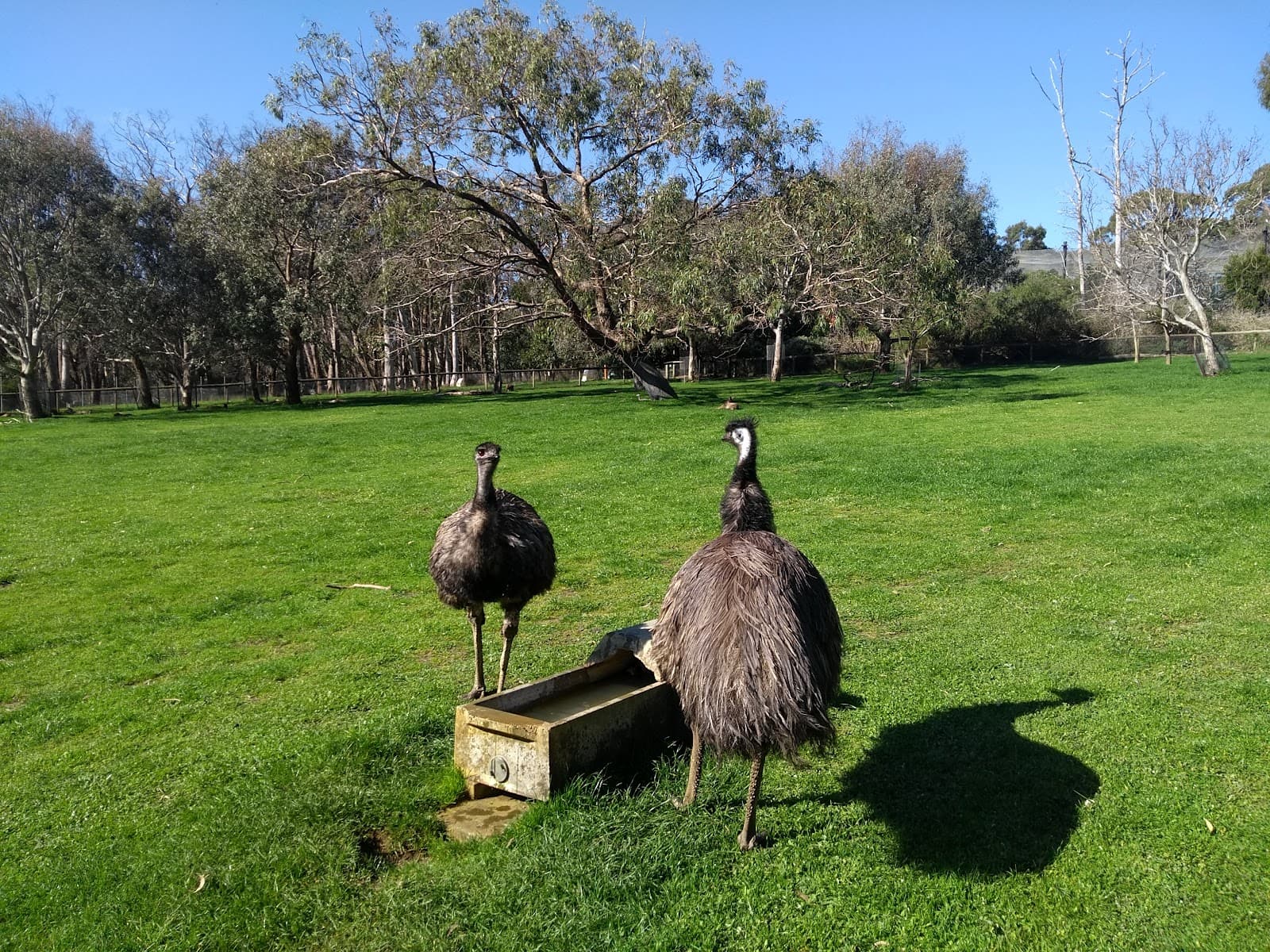 Cleland National Park — Burnside, Adelaide