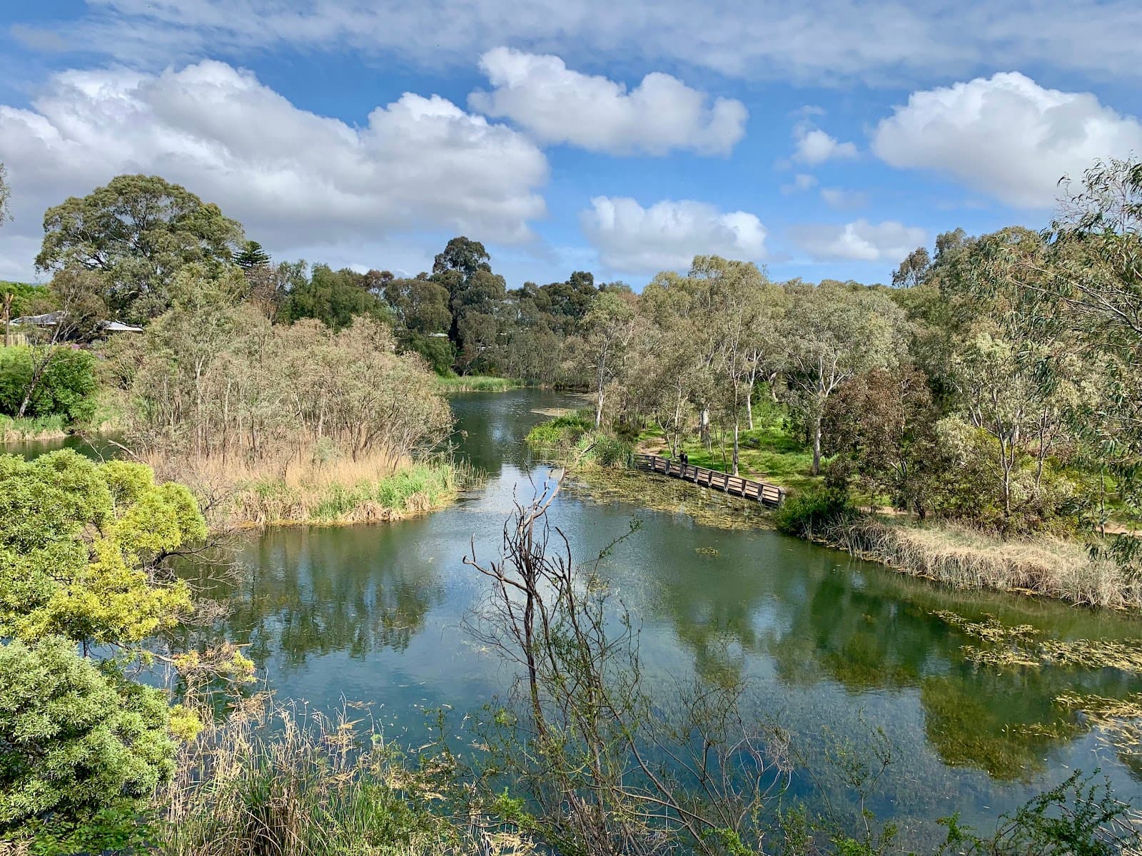 St. Peters Billabong — Burnside, Adelaide