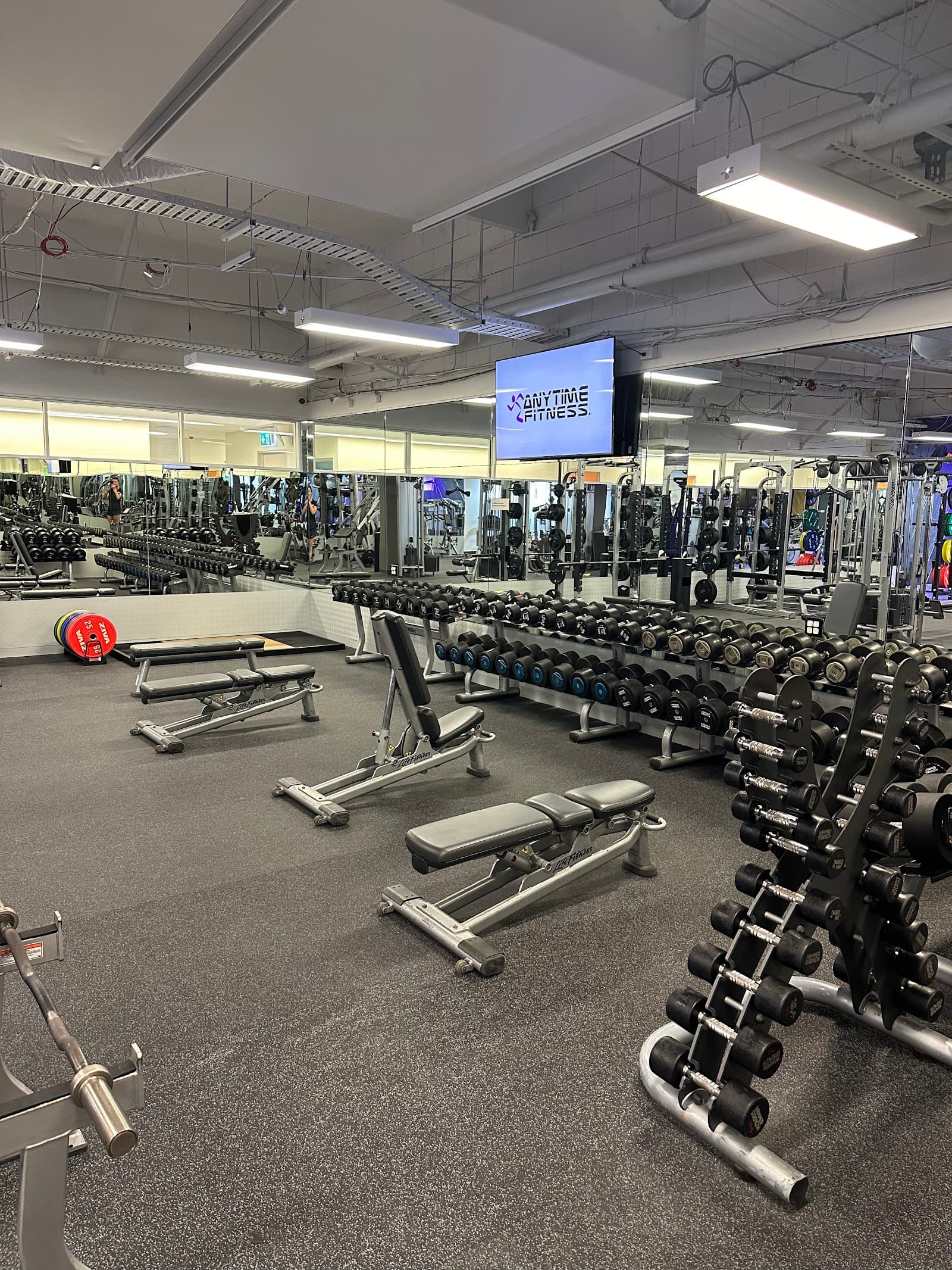 Anytime Fitness Adelaide CBD — North Adelaide, Adelaide
