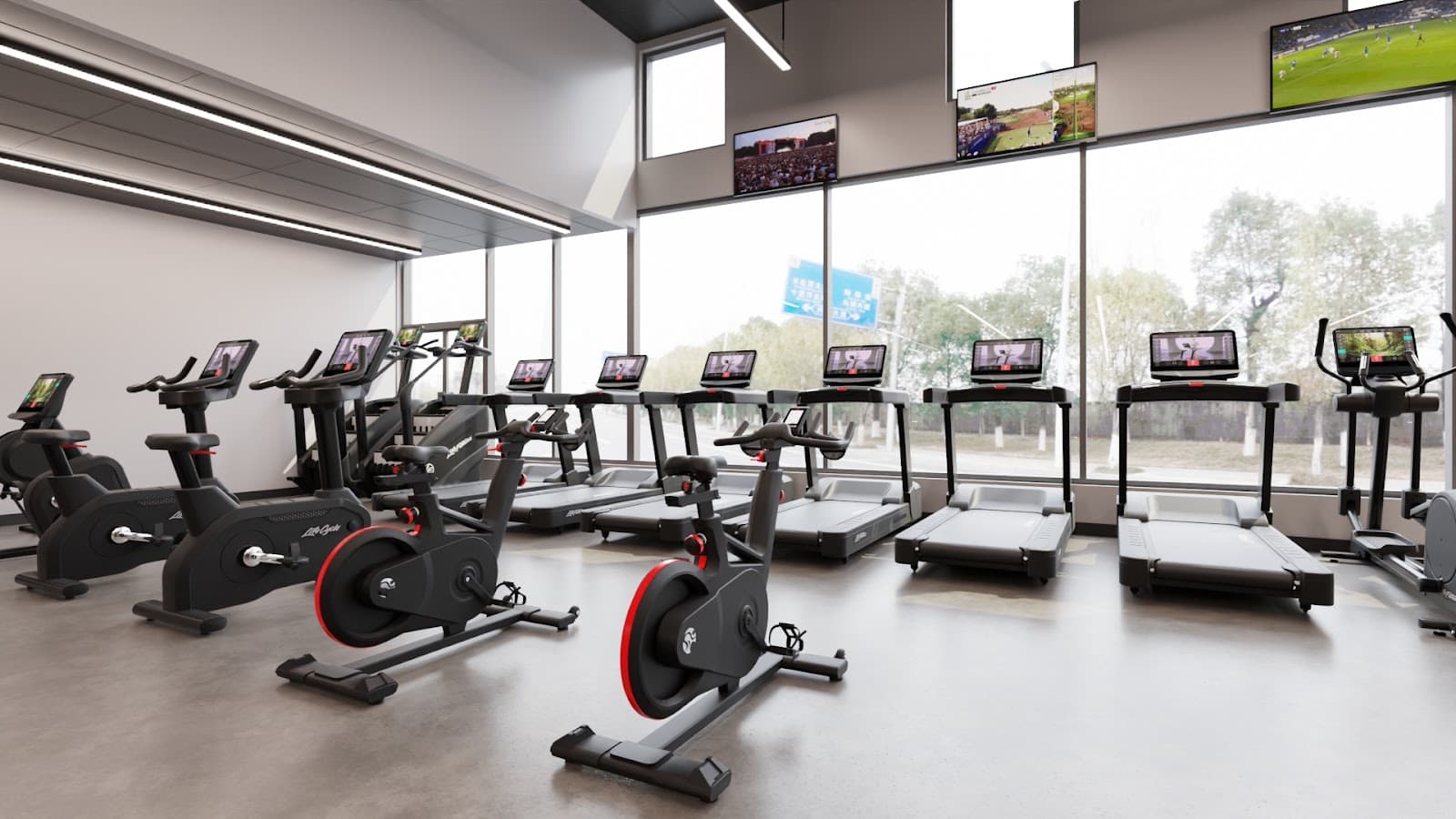 The Gym on Moseley — Glenelg, Adelaide
