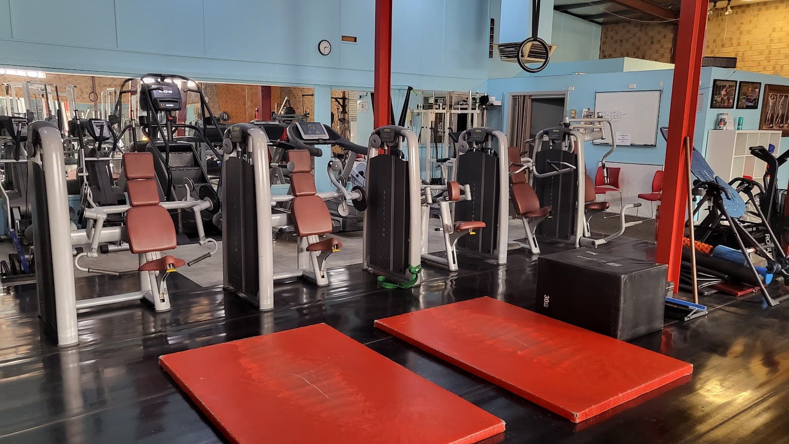 Raf Fitness PT — Unley, Adelaide