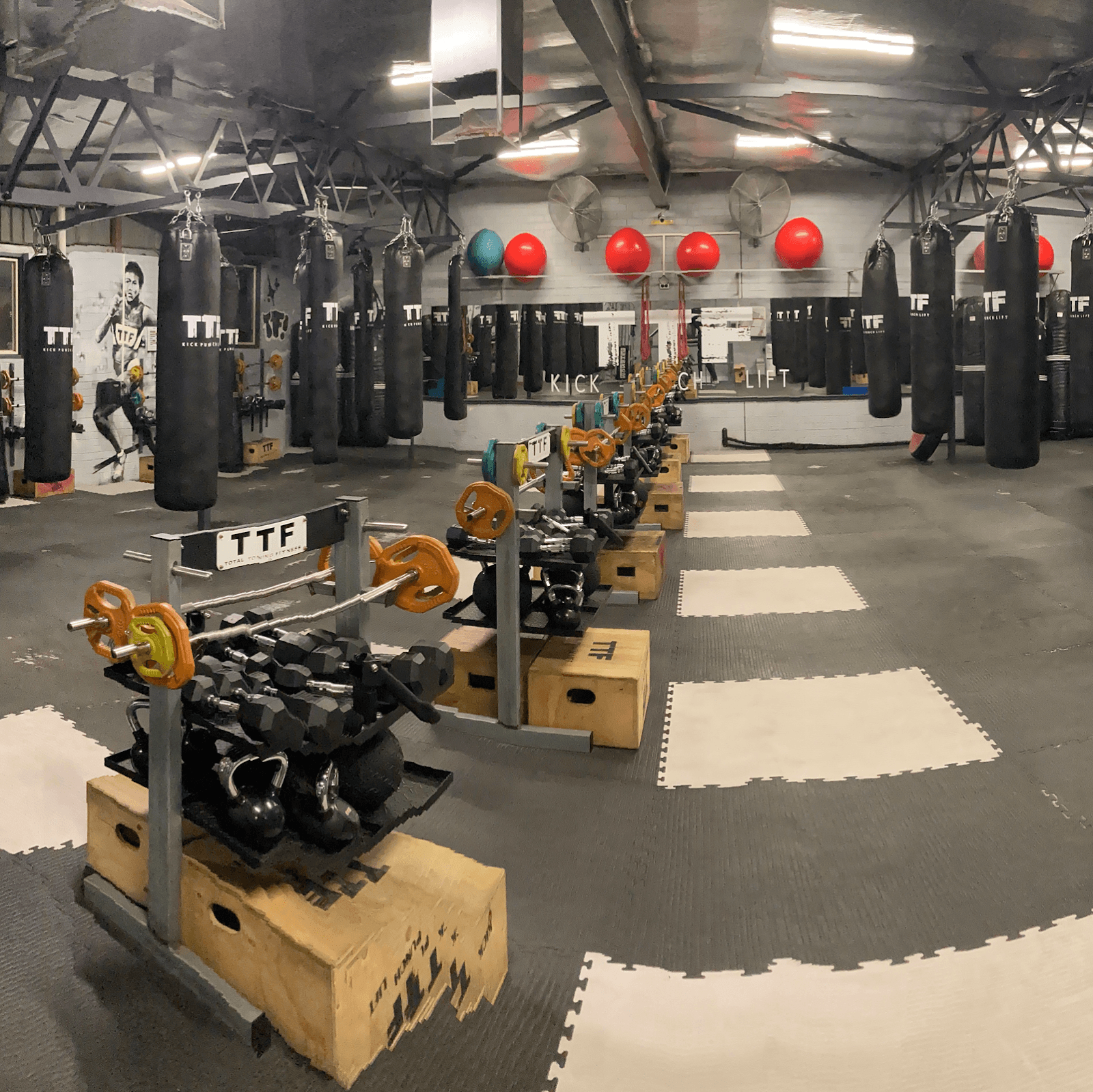 TTF KICK PUNCH LIFT - Fitness Gym 24/7 Torrensville — Henley Beach, Adelaide