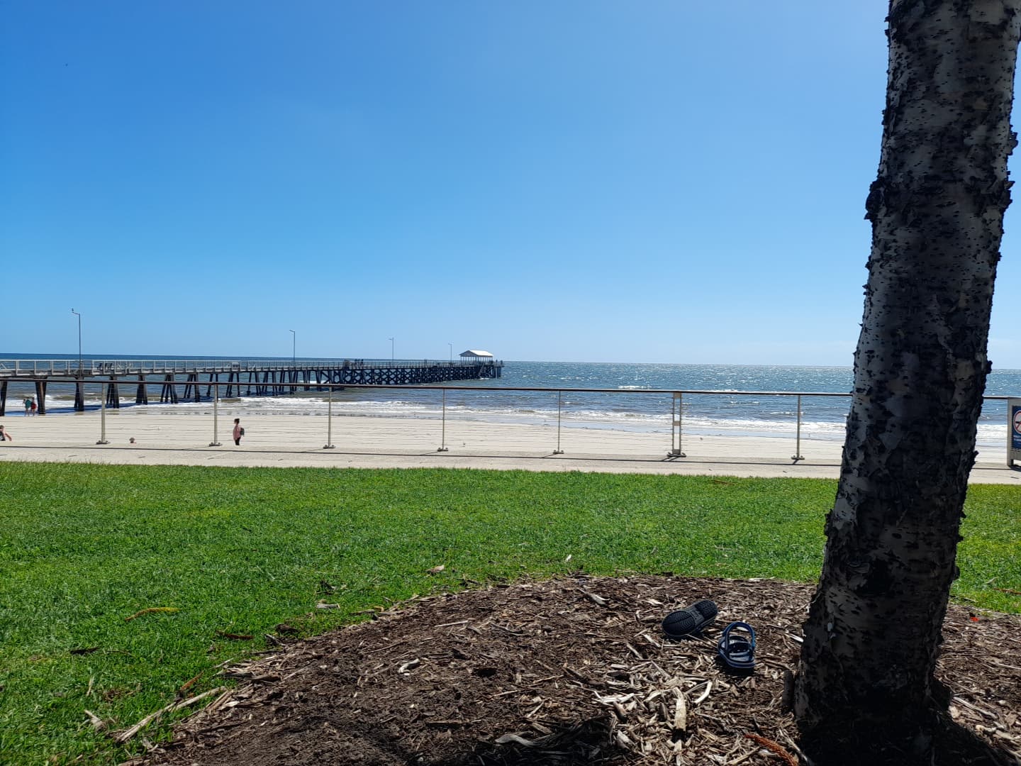 Viva Fitness — Henley Beach, Adelaide
