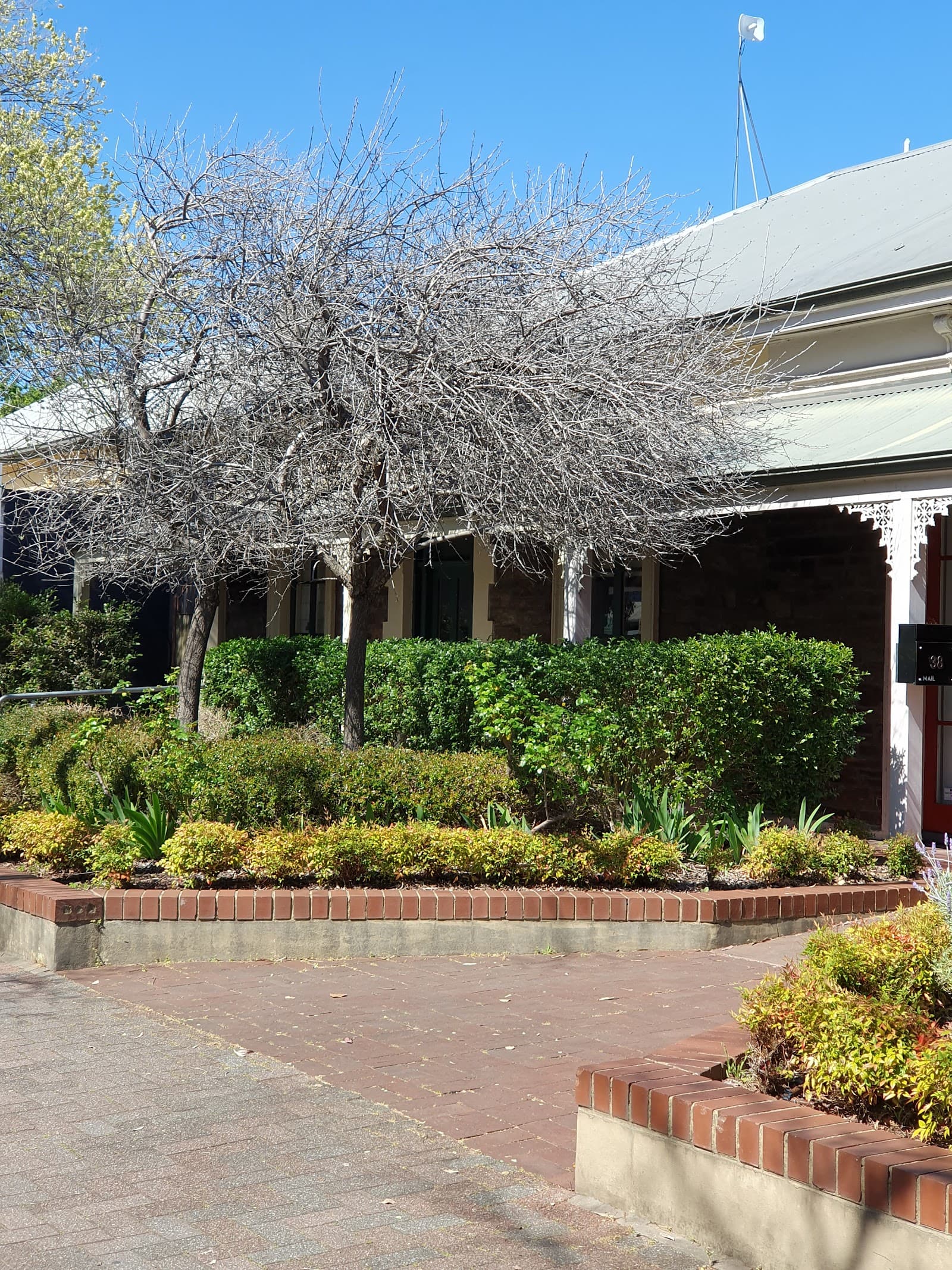 Centre for Health and Wellbeing — Norwood, Adelaide