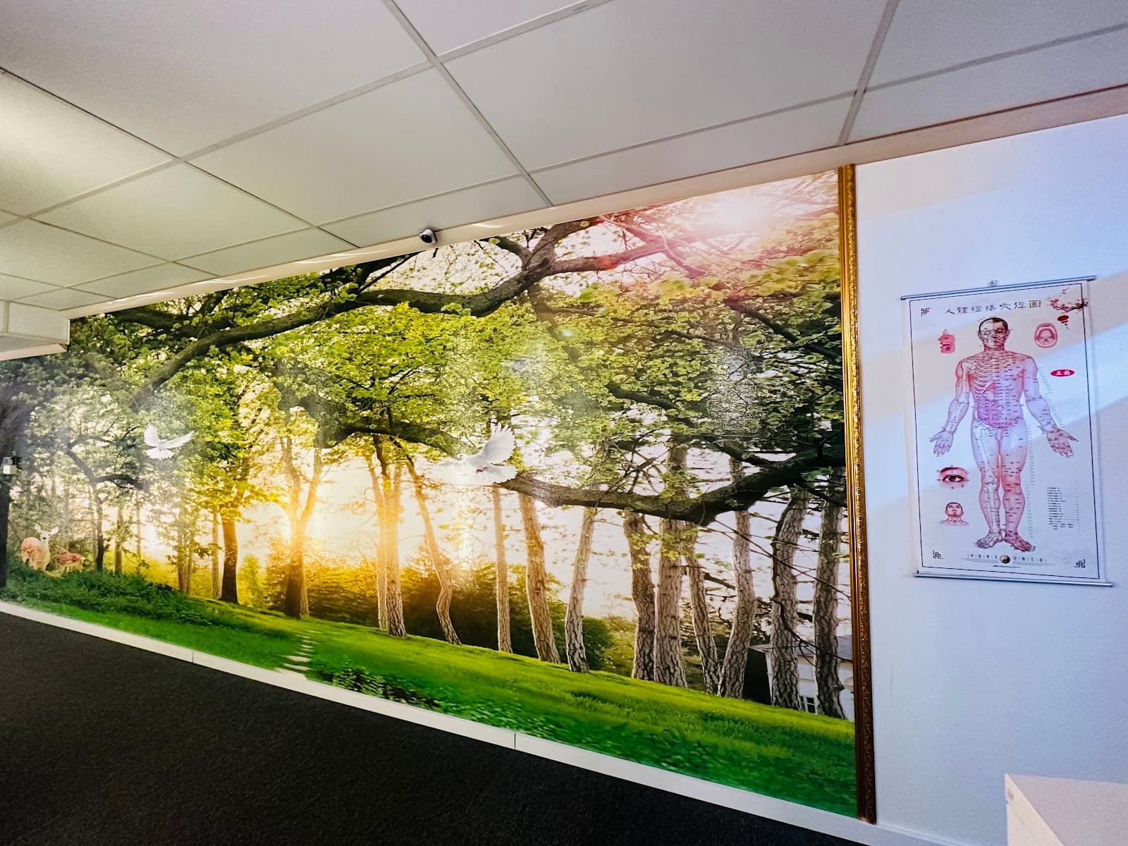 13 unley Rd lovely massage — Unley, Adelaide