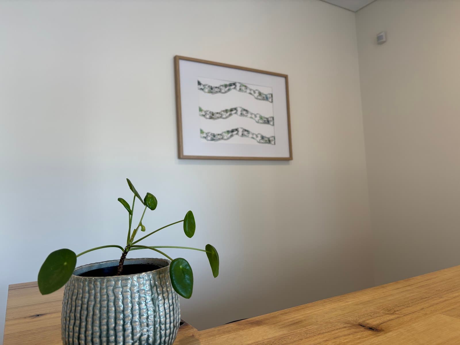 Lymph Movement Studio — Unley, Adelaide
