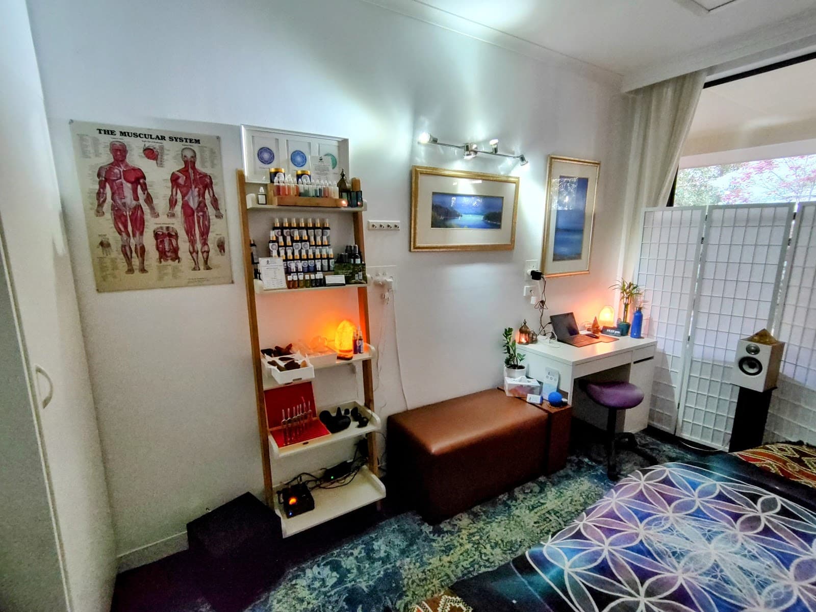 Advanced Wholistic Remedies & Advanced Corporate Health — Burnside, Adelaide