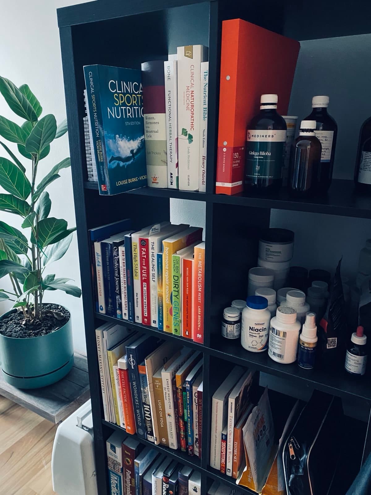 Biohacking Naturopath — Brighton, Adelaide