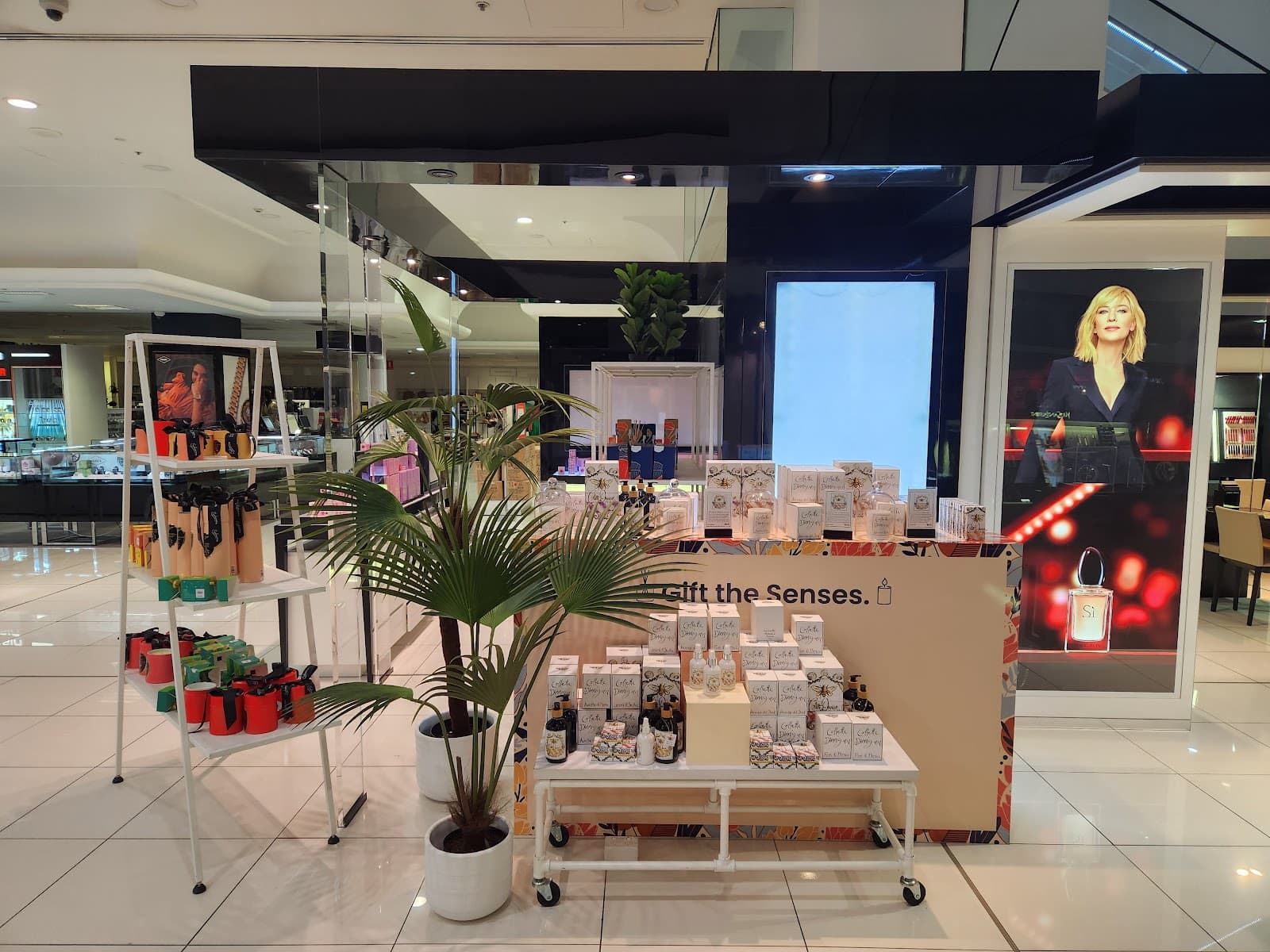 Myer Centre Adelaide — Adelaide CBD, Adelaide