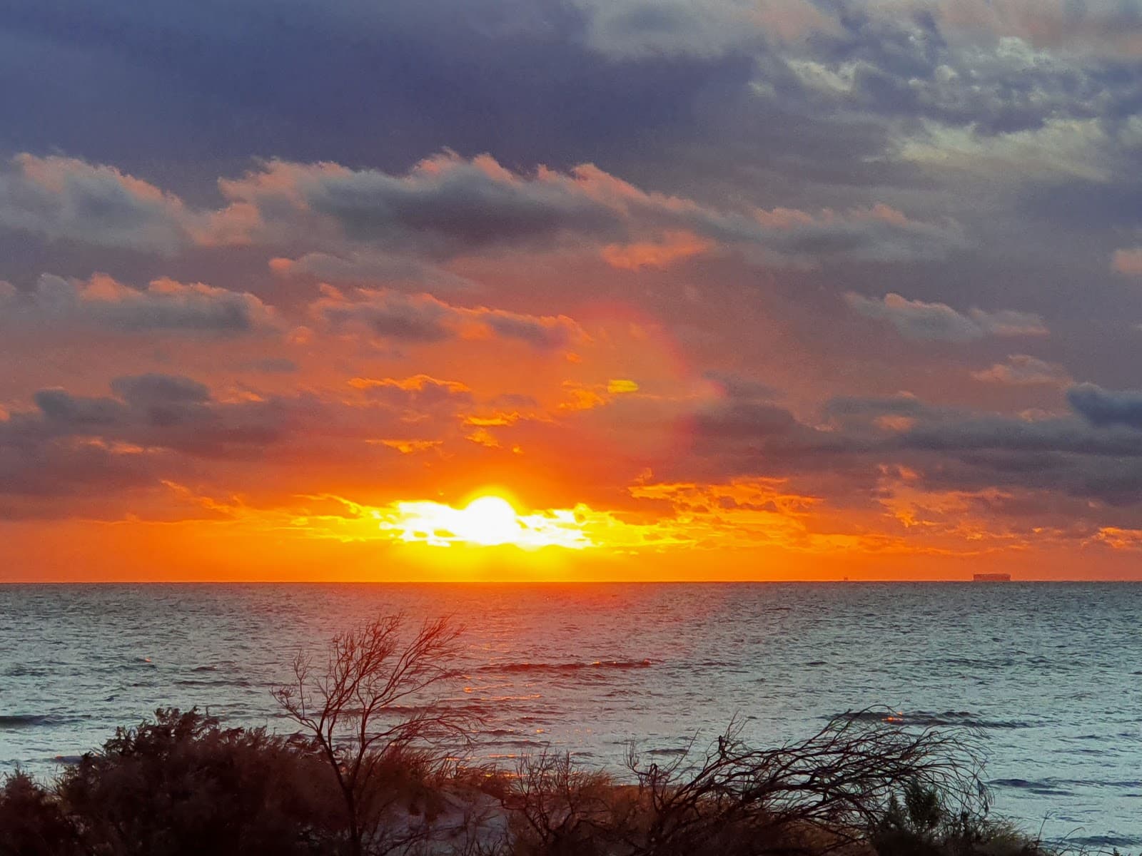 The Grange — Henley Beach, Adelaide