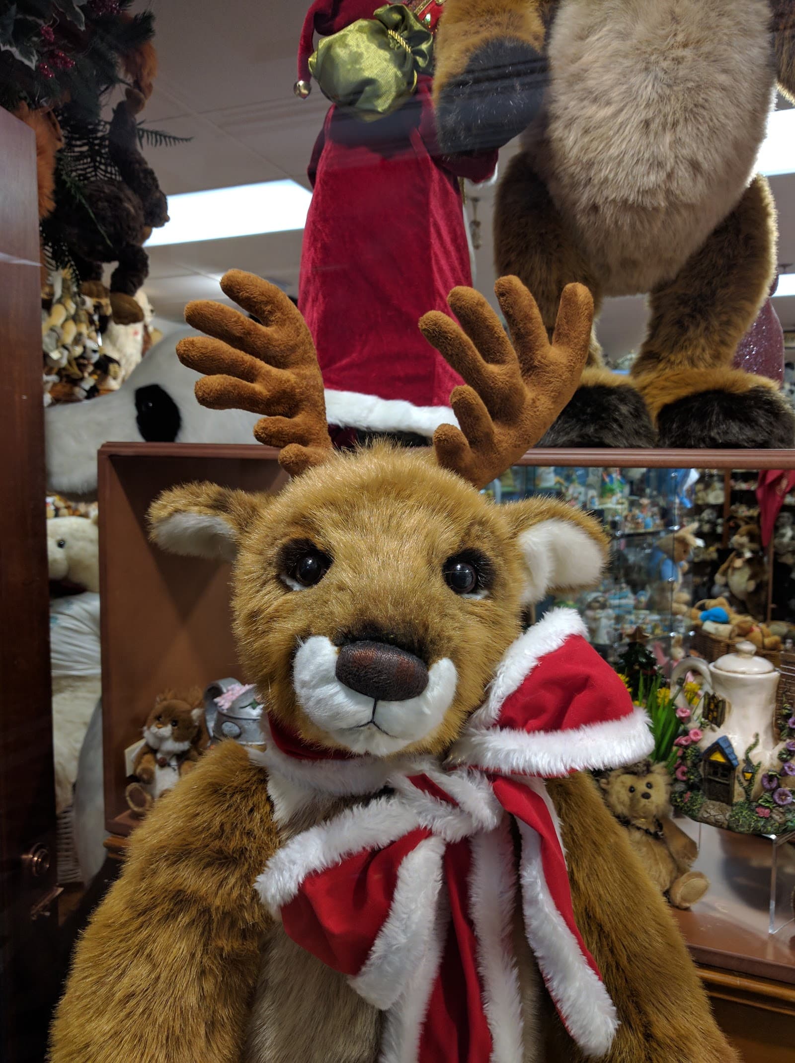 The Teddy Bear Shop — Semaphore, Adelaide