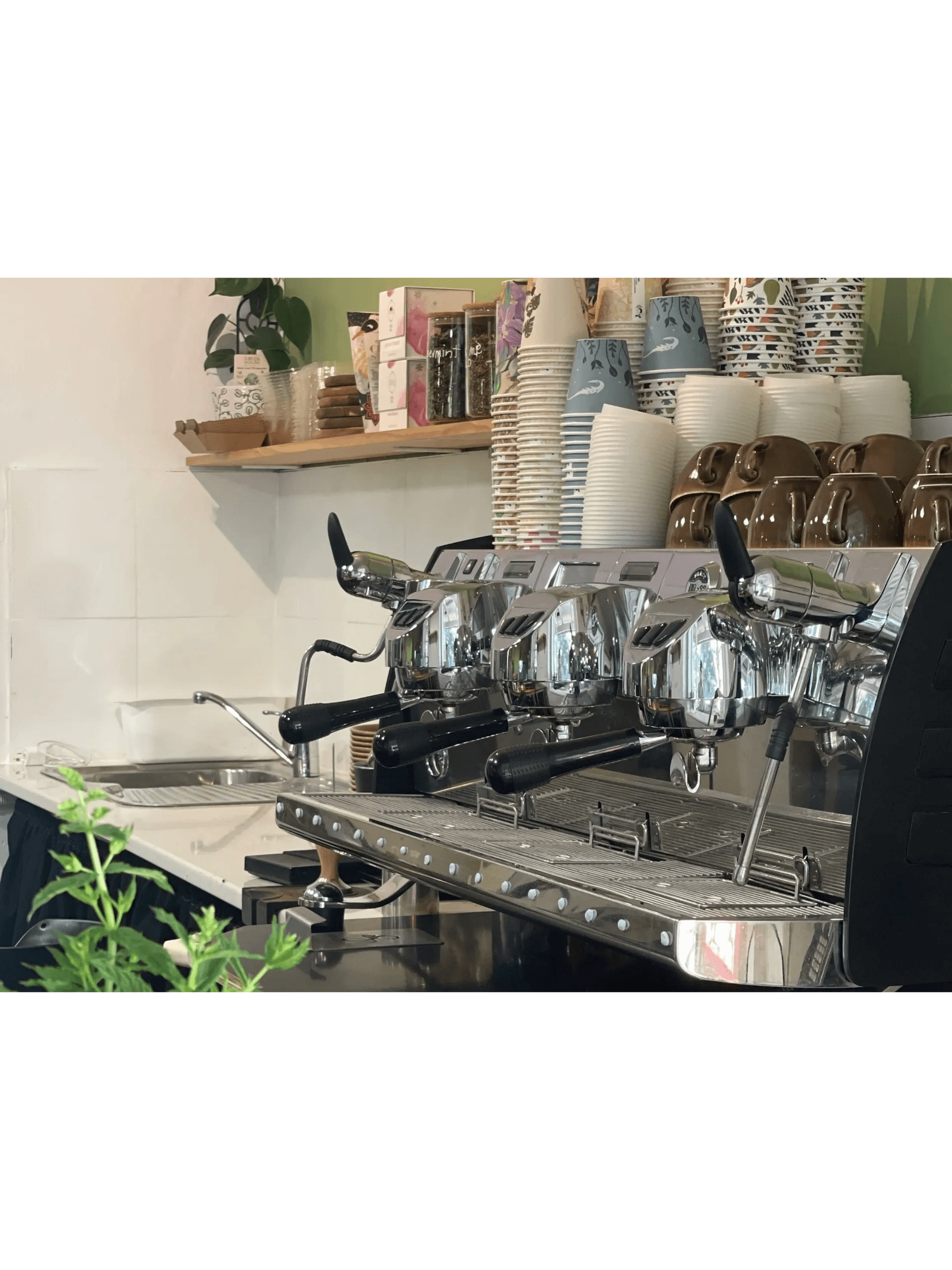 Same But Different Cafe