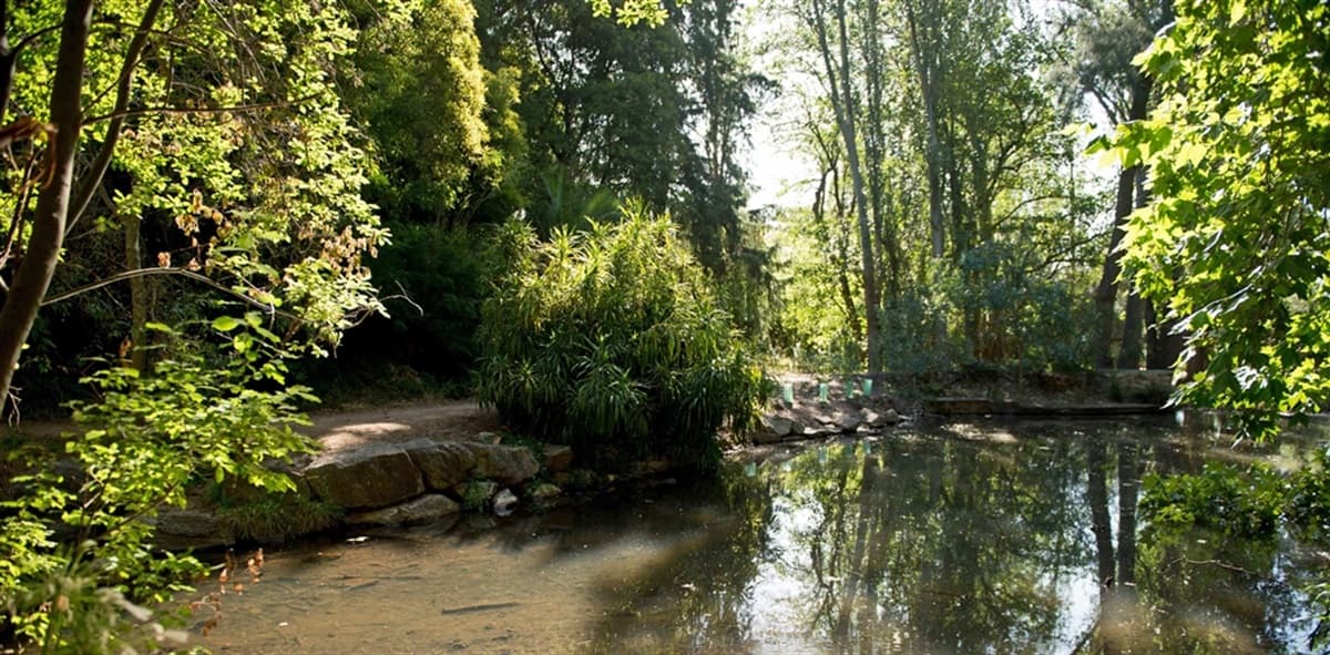 Michael Perry Botanic Reserve