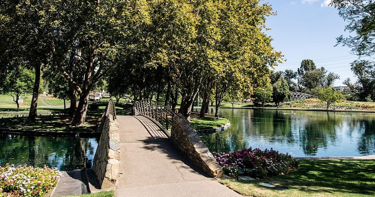 Rymill Park (Park 14)