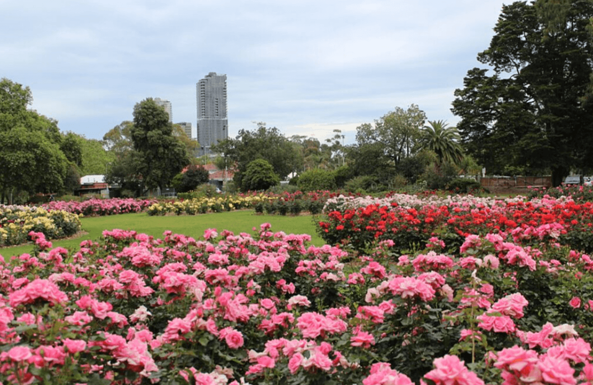 Rymill Park (Park 14)