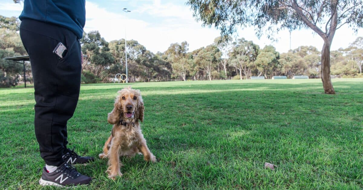 Bragg Park (Park 5)
