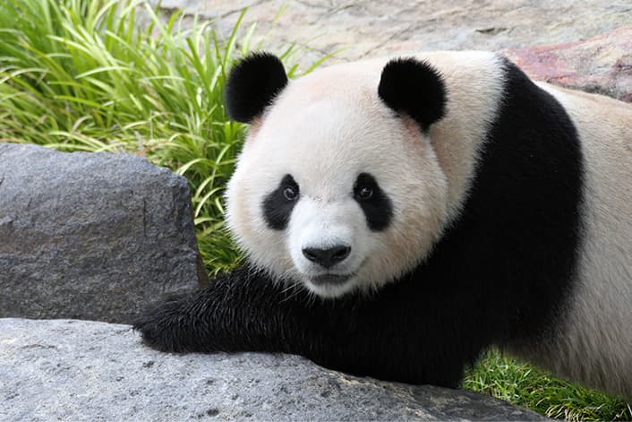 Adelaide Zoo