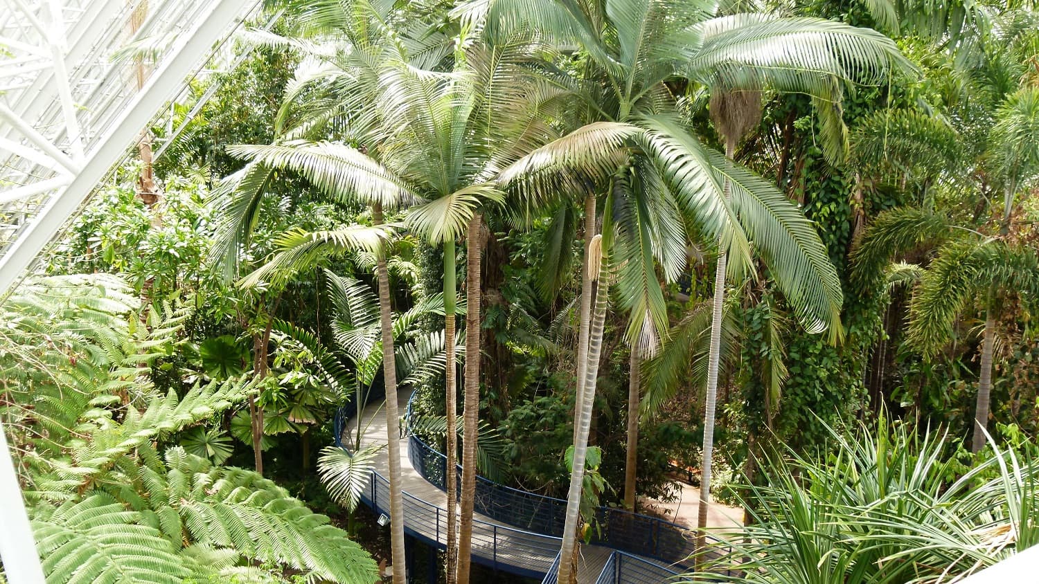 Bicentennial Conservatory