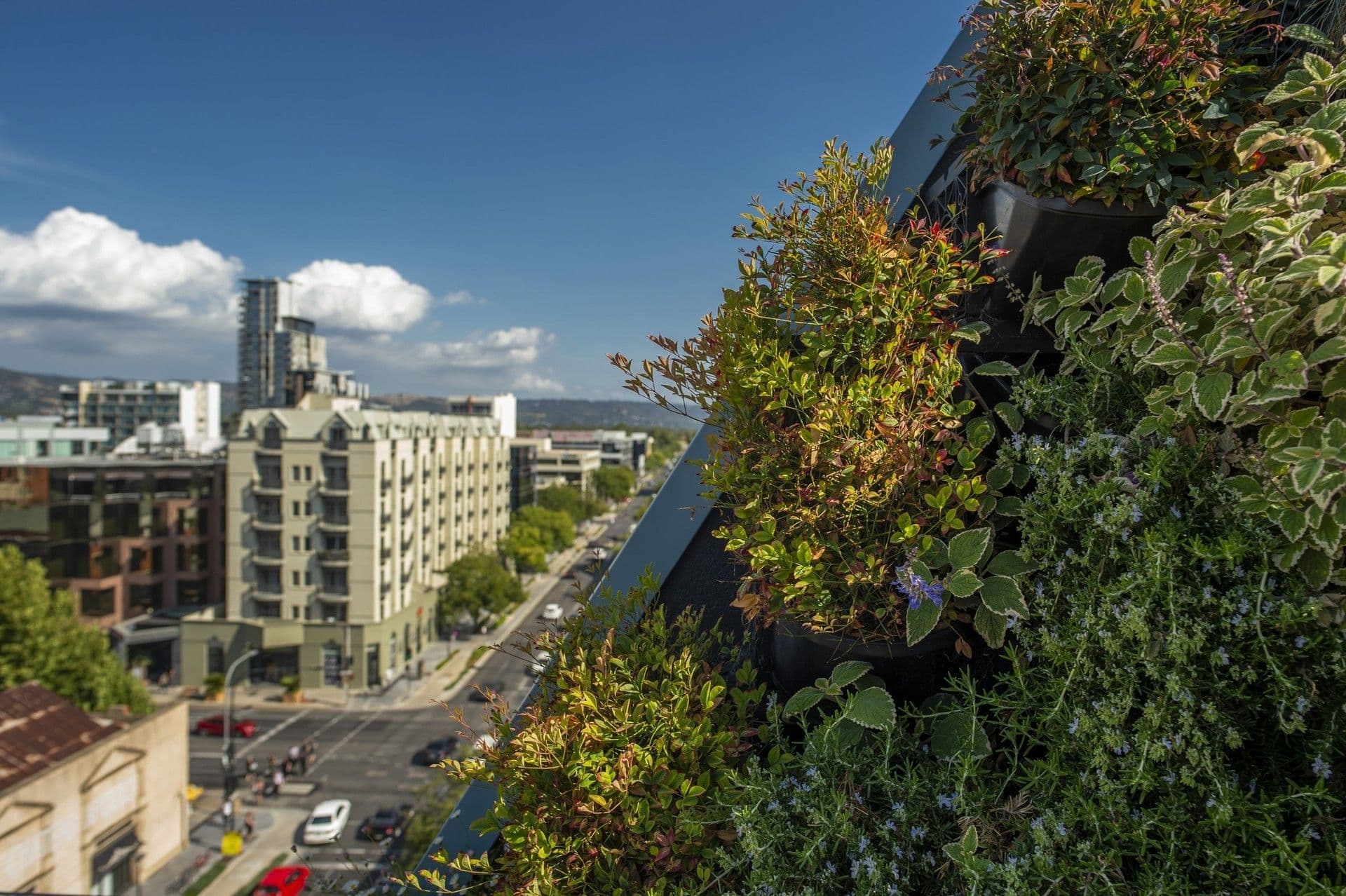 Majestic Roof Garden Hotel